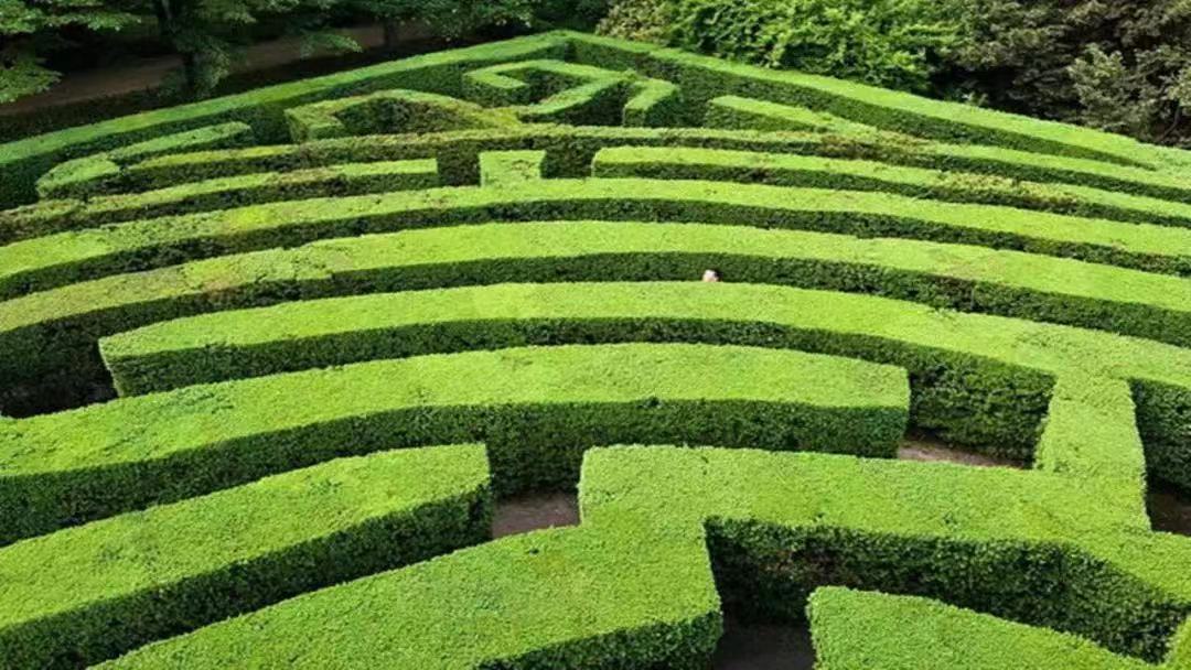 这么大的迷宫?也太燃了吧!