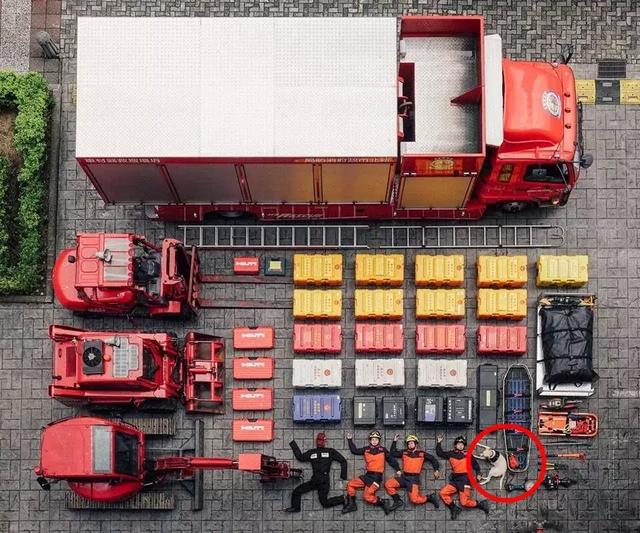 楚天都市报@这赤裸裸的炫fu！全世界都在玩，最后一个更是帅上天