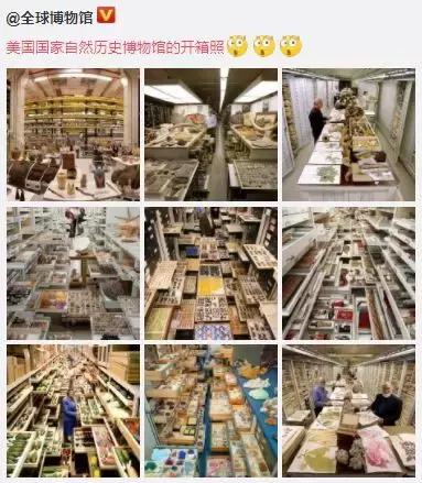 楚天都市报@这赤裸裸的炫fu！全世界都在玩，最后一个更是帅上天