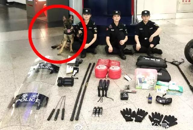 楚天都市报@这赤裸裸的炫fu！全世界都在玩，最后一个更是帅上天