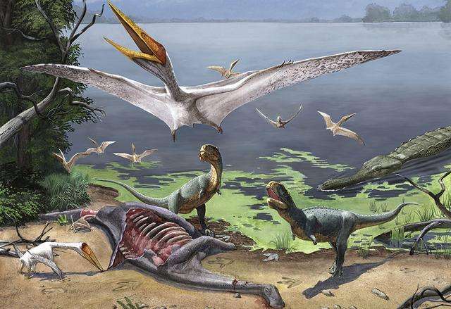 翼龙是中生代天空中的霸主!最强王者秒杀霸王龙!