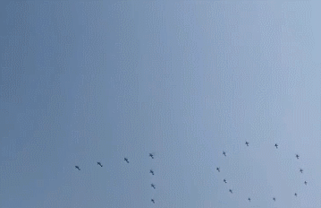 「中国质量万里行」北京天空，被它们刷屏了！