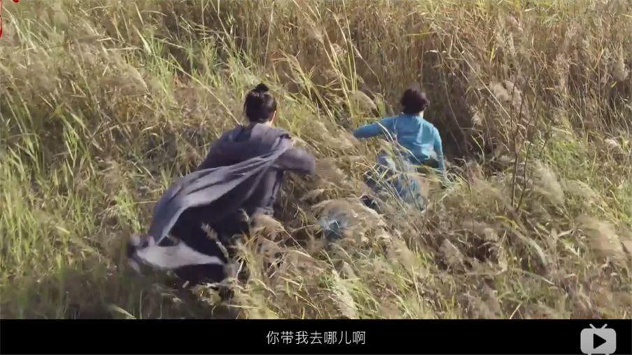 Sir电影：给它打五星和一星的其实是一种人