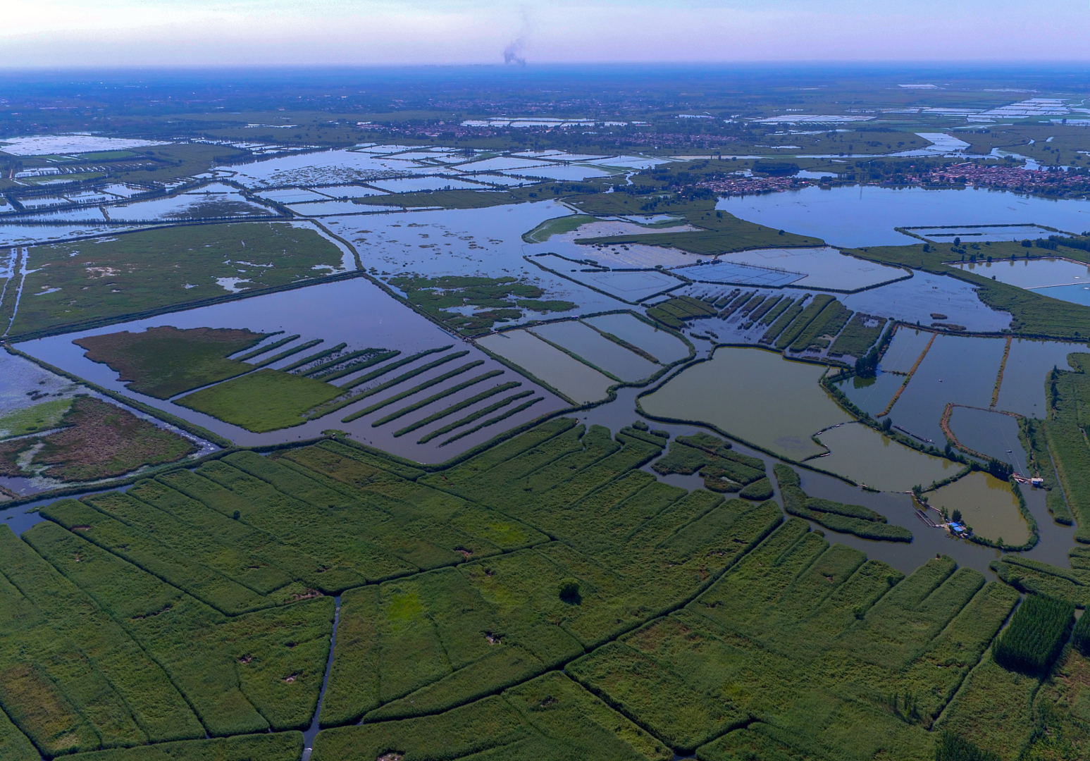 新出发再问道②雄安新区启示先植绿后建城