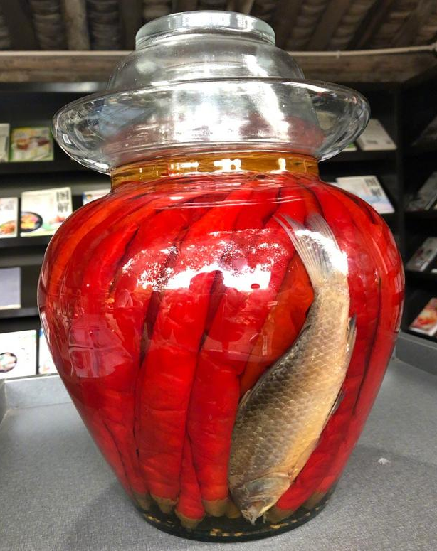 活鱼泡辣椒还被收入博物馆网友鱼香肉丝的鱼原来在这儿