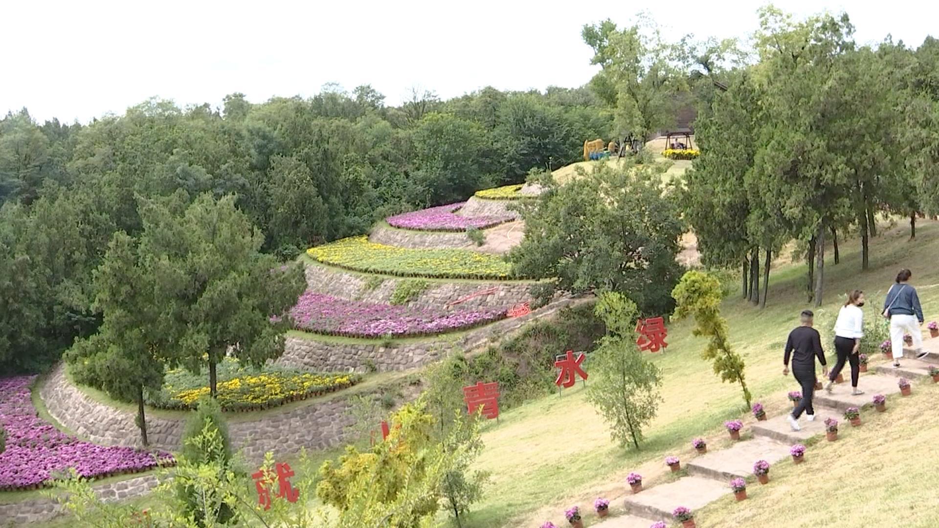 新沂马陵山景区玻璃吊桥 金秋菊展十一等你来
