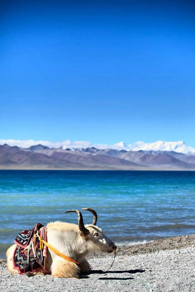 [汇客廰文旅]中国，这颗星球上最美丽的国度，有着960万公里的绝美