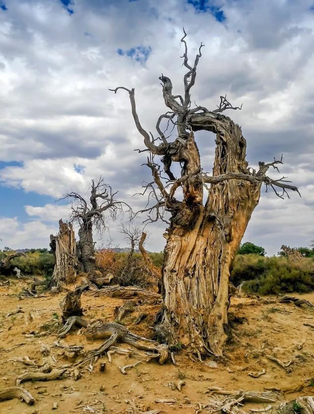 [汇客廰文旅]中国，这颗星球上最美丽的国度，有着960万公里的绝美