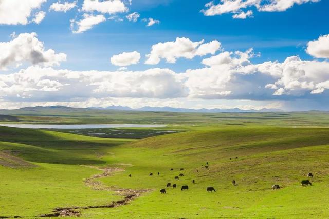 [汇客廰文旅]中国，这颗星球上最美丽的国度，有着960万公里的绝美