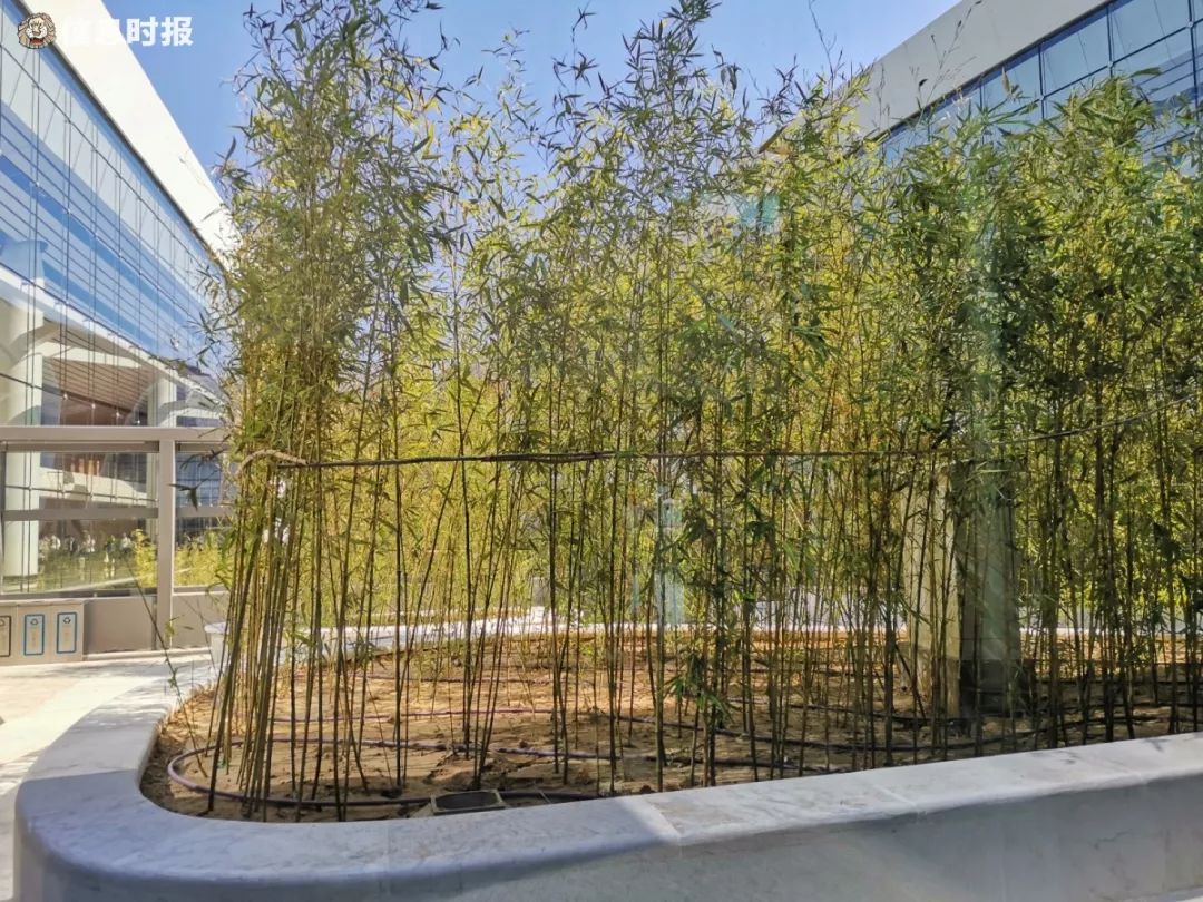 「信息时报」厉害了，我的大兴机场！今日首架起飞航班：北京→广州