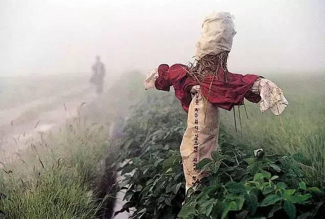 「樊登读书频道」韩国版白银案找到真凶：我们一路奋战，是为了不被世界改变