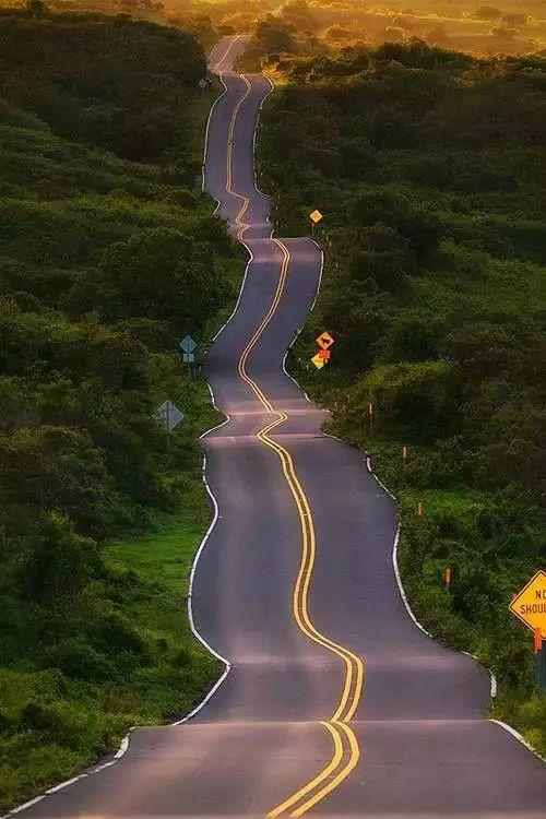 这么美的路,你想和谁一起走?
