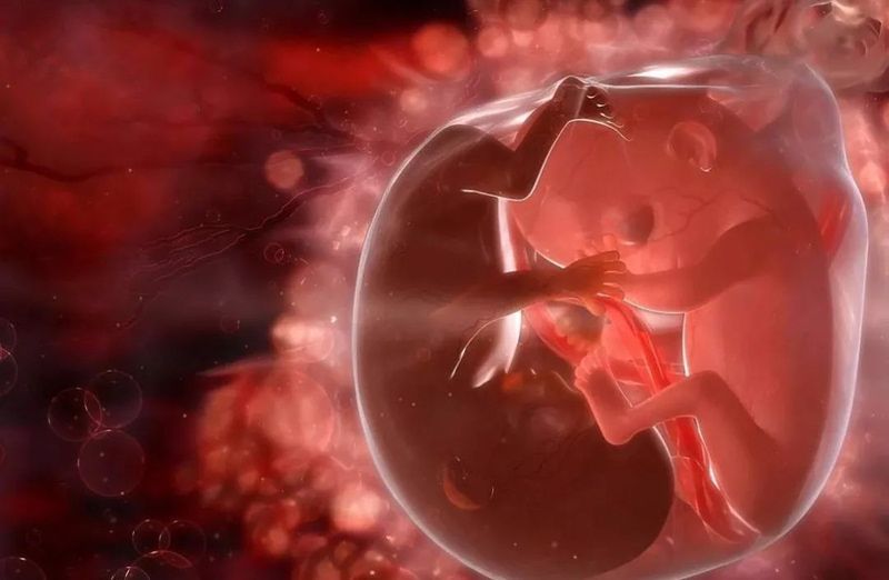 造成自己的精子质量很差,就算女性能够排出多个卵子,但是也需要有两个