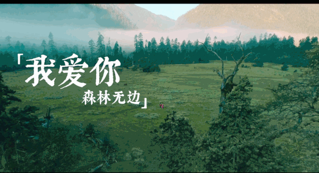 证券时报■我爱我的国！56个民族同唱这首歌