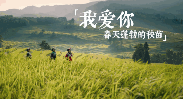 证券时报■我爱我的国！56个民族同唱这首歌