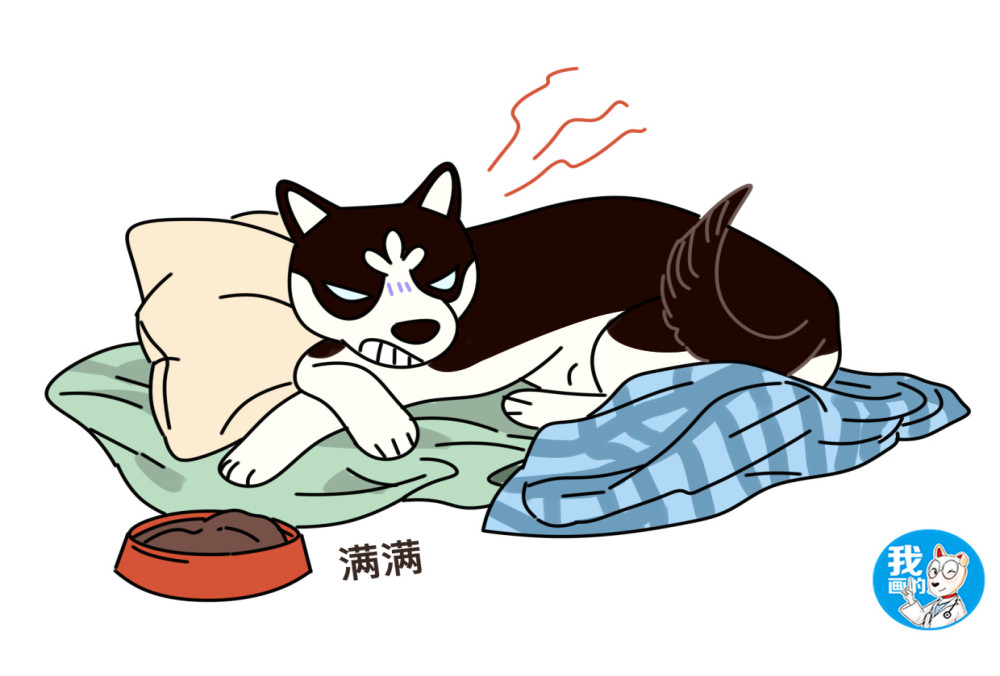 辟谣:母犬出现呕吐,腹部隆起就是怀孕了?你真当怀孕是闹着玩呢