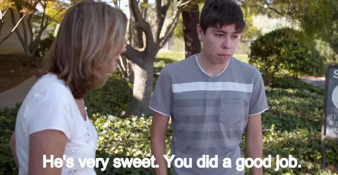 「英国报姐」导盲犬诞生记：一只小奶狗如何从“千军万狗”中脱颖而出？