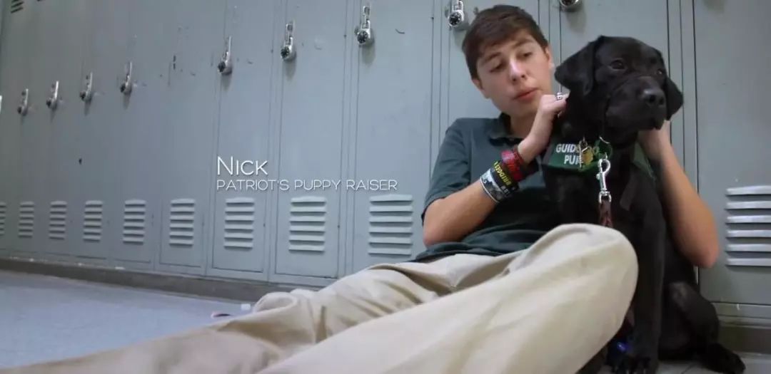 「英国报姐」导盲犬诞生记：一只小奶狗如何从“千军万狗”中脱颖而出？