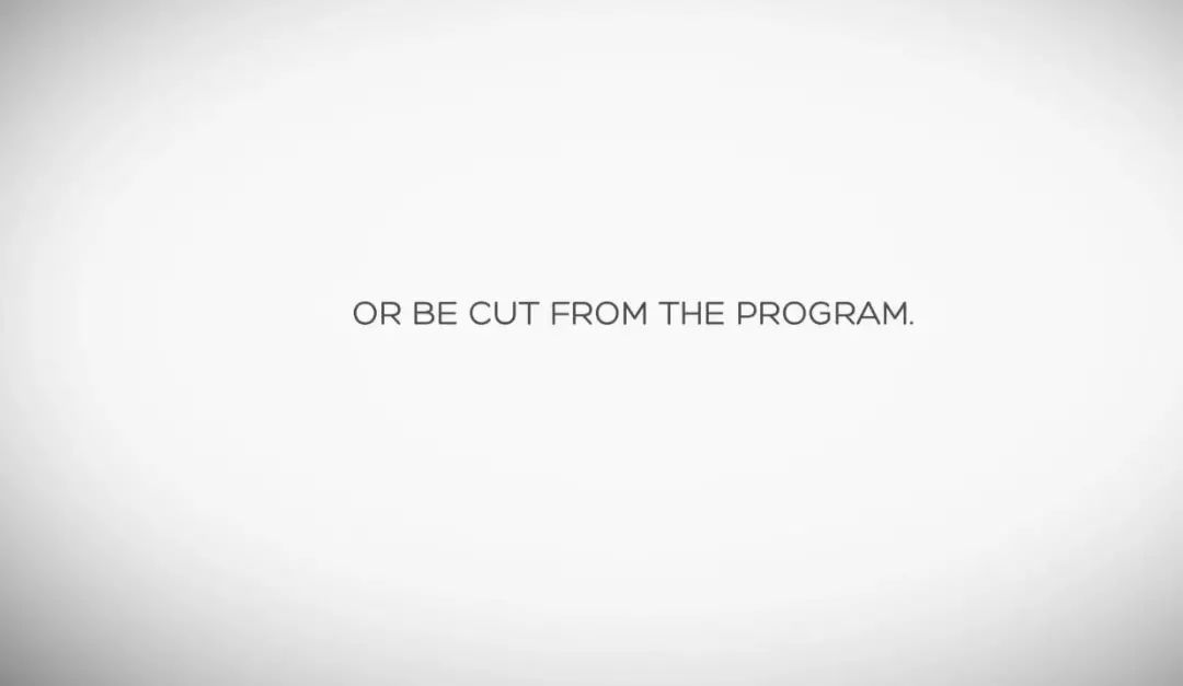 「英国报姐」导盲犬诞生记：一只小奶狗如何从“千军万狗”中脱颖而出？