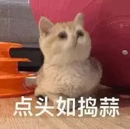 [中科院物理所]安检时，你和你的行李都经历了什么？