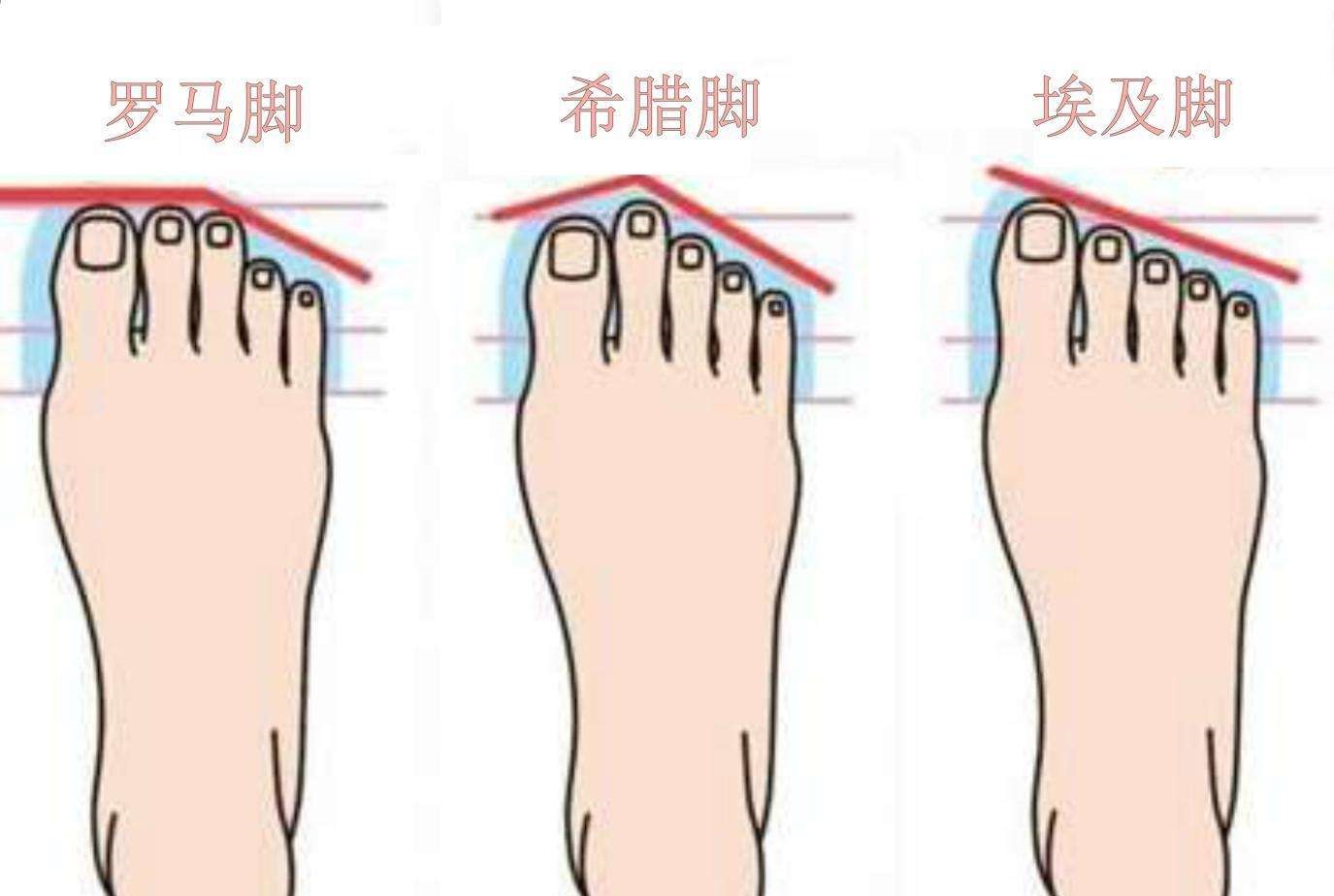 比如罗马脚型的跑者,他的前脚掌就比较宽大,如果你只注意到尺码,没有