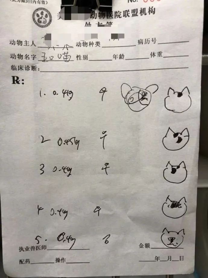 「书法学府」去医院看病，医生说你去买这个药，结果……