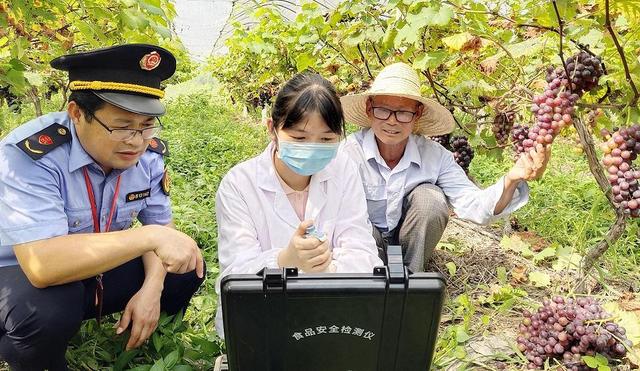 「中国食品报官方平台」食安监管70年 向治理现代化迈进