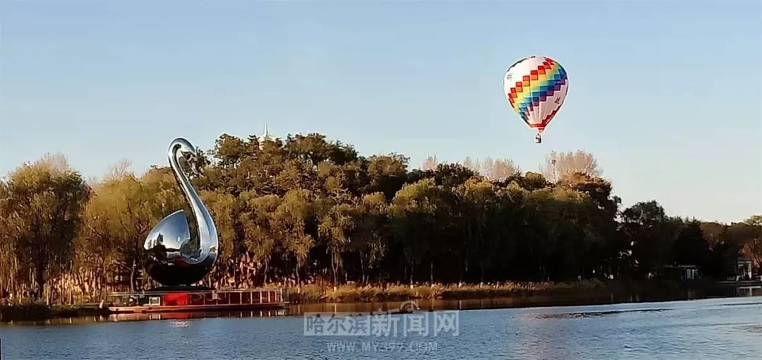#哈尔滨新闻网#俄罗斯美协主席亲自操刀！太阳岛新来那只“比树还高的大天鹅”来头不小｜今日揭幕，你不去看看？