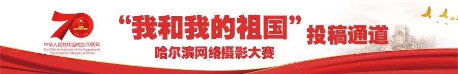 #哈尔滨新闻网#俄罗斯美协主席亲自操刀！太阳岛新来那只“比树还高的大天鹅”来头不小｜今日揭幕，你不去看看？