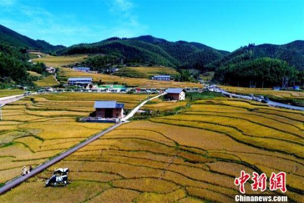 手机中国网■2019全国媒体无人机航拍大师邀请赛圆满落幕