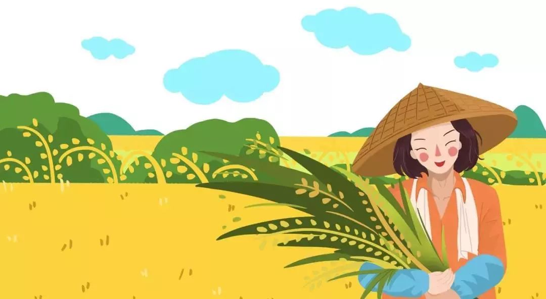 长安再现"稻花香里说丰年"!