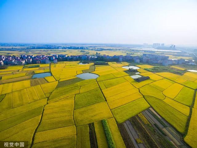 「中国农科新闻网」明天起，这些新规将影响你的生活