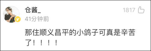 #经济日报#阅兵式放飞7万只和平鸽全是找市民借的 网友：自家的小鸽子已到家