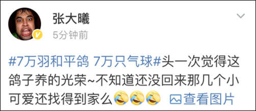 #经济日报#阅兵式放飞7万只和平鸽全是找市民借的 网友：自家的小鸽子已到家