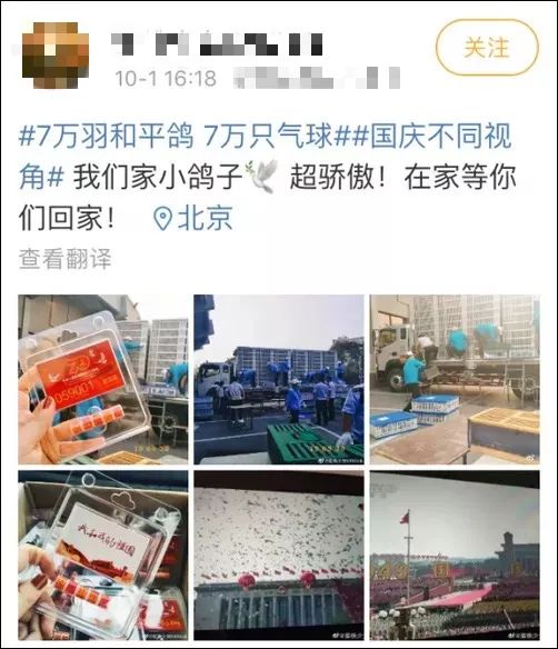 中国质量万里行@国庆专刊——7万羽鸽子，借……借的？