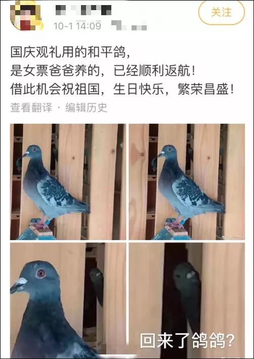 中国质量万里行@国庆专刊——7万羽鸽子，借……借的？