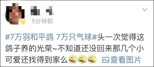 中国质量万里行@国庆专刊——7万羽鸽子，借……借的？