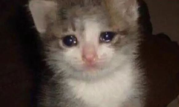 #英国报姐#越出国，越爱国！上千海外学子高喊：出国后才更知道祖国有多好！