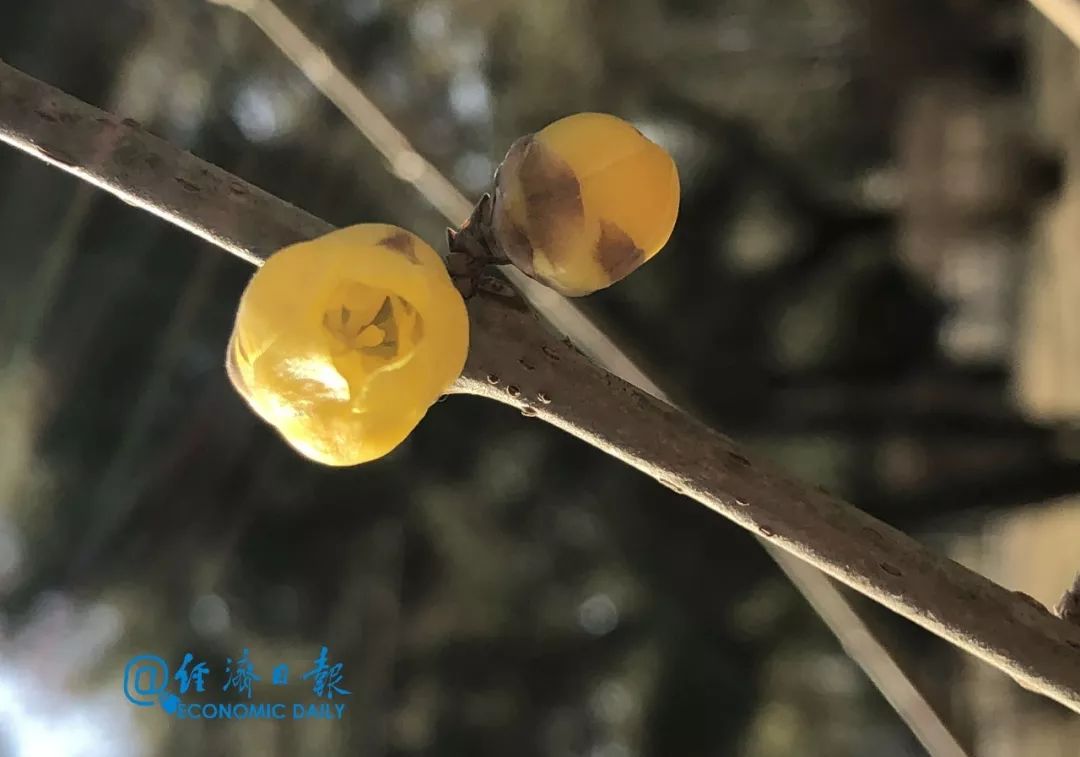 #经济日报#人，不能让心情生病