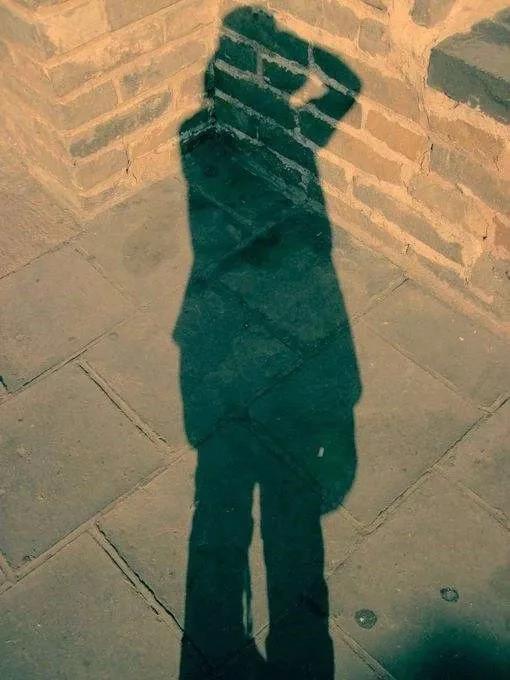 想起鲁迅在散文诗《影的告别》中所写的,我们不过是影子,要离开而沉没