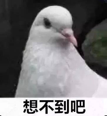 经济日报@大阅兵的震撼脚步声从哪儿来？玄机竟藏在这里