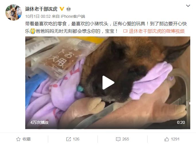 信息时报@汶川地震中最后一只搜救犬去世！战友走好……