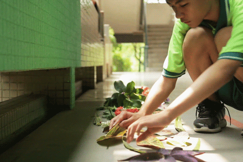 一条：中国人的审美差异，比贫富差距还严重？这个哈佛学霸出手了！