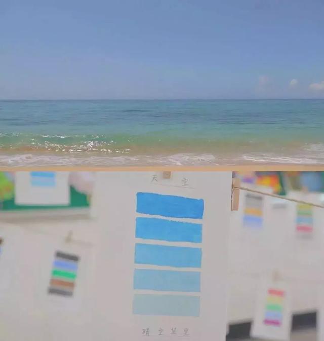 一条：中国人的审美差异，比贫富差距还严重？这个哈佛学霸出手了！