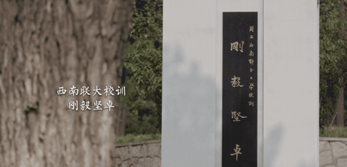 一条：中国最强学霸军团，让美国人眼红，争气！
