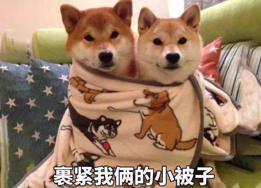 「经济日报」这波“满减大促销”让人猝不及防，记得添衣！