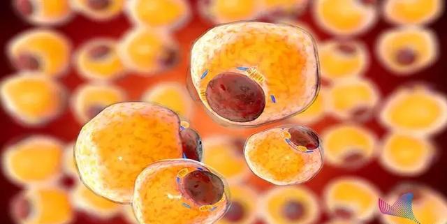 「科普中国」为什么长胖容易，瘦下来却很难？只因大多都……