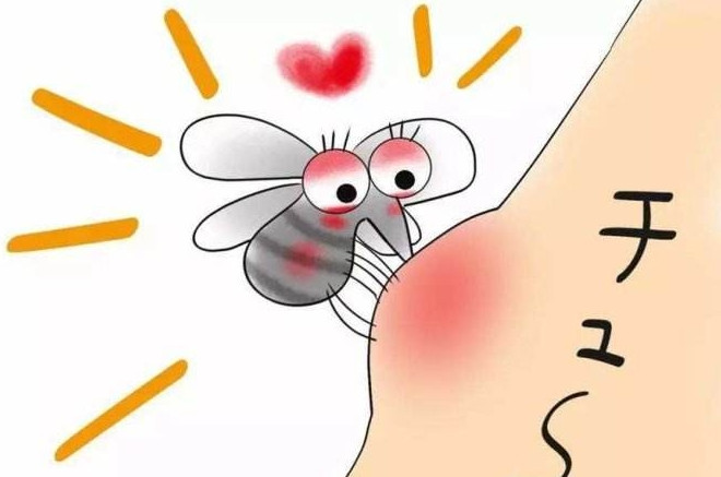 「中国质量万里行」为什么一关灯就听到蚊子叫，开灯就听不到？教你一招，一觉到天亮