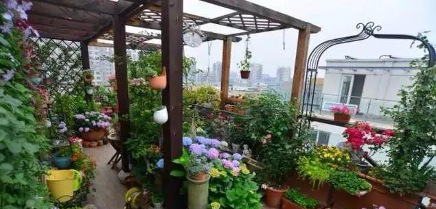 中国质量万里行@买房就要买顶楼，空气好又不会吵，还能多出一个这么漂亮的露台！