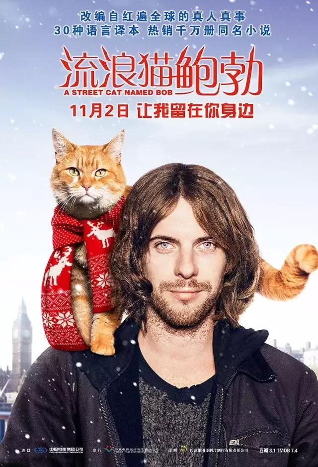 【掌上兰州】小长假追剧指南！2019高分影视剧推荐，好看到假期不想出去玩